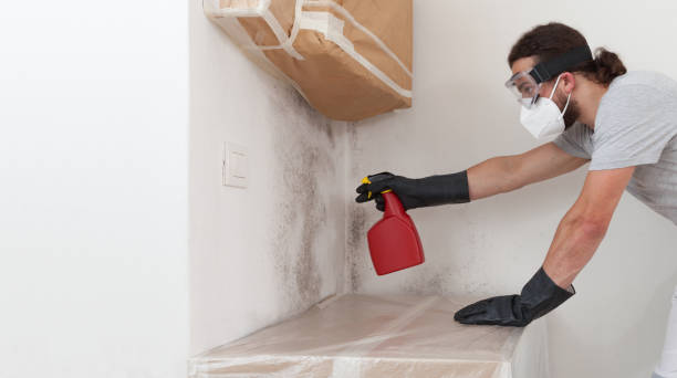 Professional Bathroom Mold Removal technician working in New Egypt, NJ